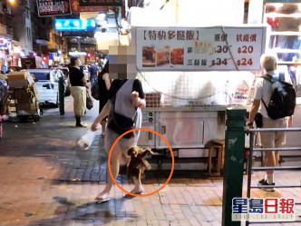 深水埗大妈疑似虐待动物，网民称狗绳吊起小狗逾20秒。网图