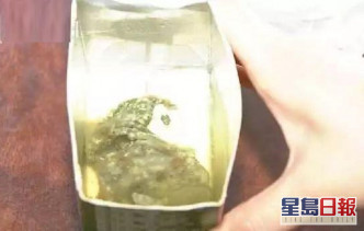上海市民去年買蘋果汁發現盒內有發霉物體。網上圖片