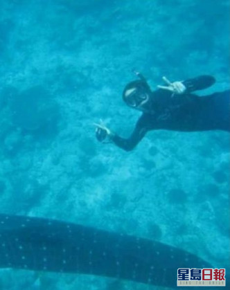 陳鍵鋒試過潛水時遇上鯊魚，搞到經理人好鬼驚。