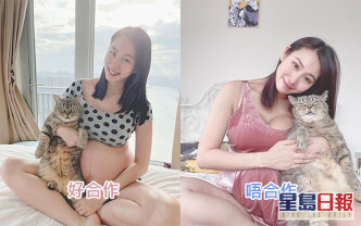 莊韻澄今日分享與愛貓合照，表示貓貓今日好合作。