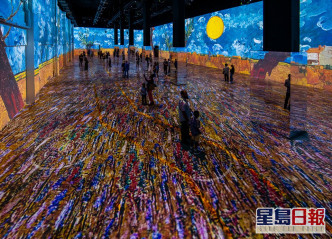 「Immersive Van Gogh Exhibit」FB图片