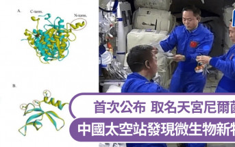 中國太空站發現微生物新物種 取名「天宮尼爾菌」