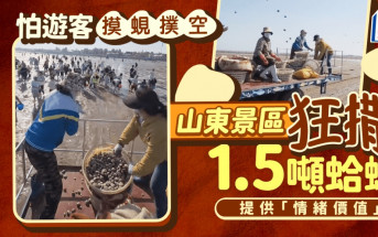 山東景區驚遊客摸蜆空手歸 狂撒1.5噸蛤蜊提供「情緒價值」 | 有片