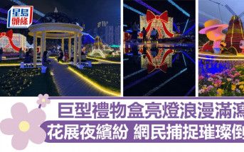 花展2025｜花展夜繽紛 巨型禮物盒亮燈浪漫滿瀉 網民捕捉璀璨倒影｜Juicy叮