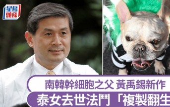 泰女花140萬複製去世愛犬  南韓科學家黃禹錫「基因改造」試5次成功