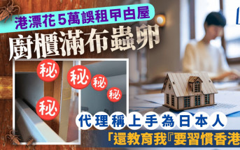 港漂花5萬誤租曱甴屋 廚櫃滿布蟲卵 代理稱上手為日本人「還教育我『要習慣香港』」