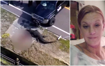 佛州河道驚現14呎巨鱷叼人屍　41歲女死者曾因非法闖濕地被捕