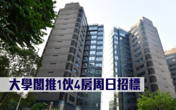 熱辣新盤放送｜大學閣推1伙4房周日招標