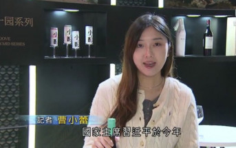 消息：青年民建聯完成換屆 3女將任副主席 前TVB小花任秘書長