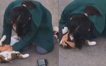 最美獸醫︱流浪貓遭單車撞至瀕死  休班獸醫當街人工呼吸救回︱有片