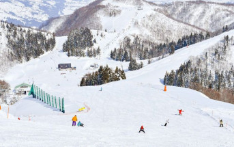 GALA湯澤｜中國公司董事獨自玩滑雪板 失蹤1晚尋獲遺體