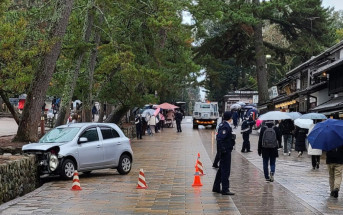 遊日注意︱奈良東大寺奪命車禍  79歲司機「踩錯油門」撞斃台男