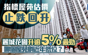 指標屋苑估價止跌回升 荃灣麗城花園升逾5%最勁 哪個屋苑創近年低位？
