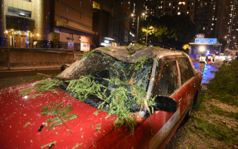 黃雨｜香港仔塌樹砸中的士 一家三口一度被困 的士司機自言大難不死要還神