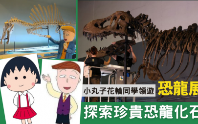 周末亲子游｜小丸子花轮同学领游 香港科学馆恐龙展 探索珍贵恐龙化石