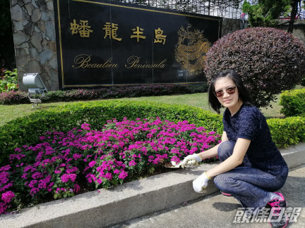 羅敏儀表示,用園林廢物造成的堆肥可增加泥土儲水力,而且更有效保存土壤中的養份,減少植物病害,讓屋苑的植物和花卉長得更茂盛健康。THEi提供圖片