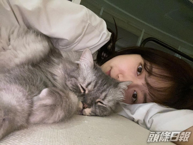 朴信惠愛貓。