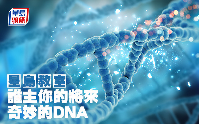 誰主你的將來—奇妙的DNA｜星島教室
