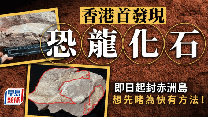 恐龙化石｜香港首发现距今至少6600万年 10.25向公众展出 赤洲岛暂封锁