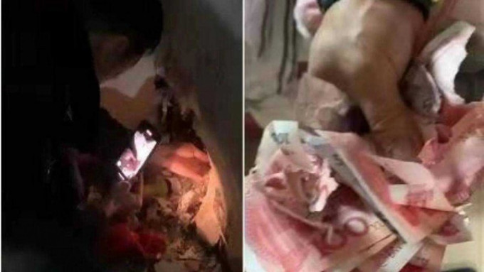 上海公安人員「偵破」了一宗老鼠所為的超市失款案。網上圖片