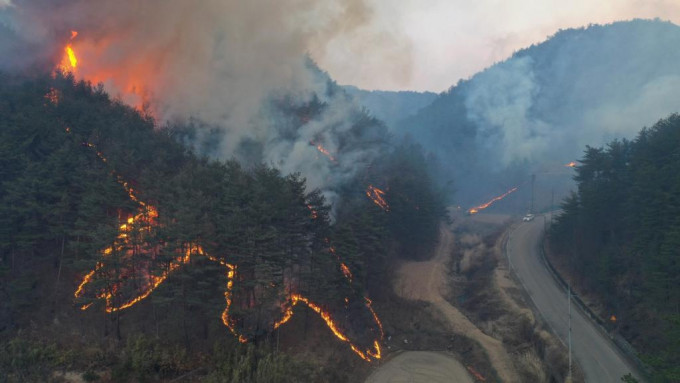 南韓東南部的山火已向北蔓延。AP