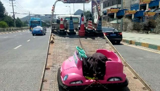 交警查扣了一輛碰碰車。（網圖）