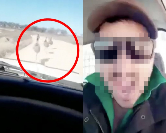 澳洲男子一邊駕車，一邊大叫大笑故意撞向路上的野生鴯鶓。截圖