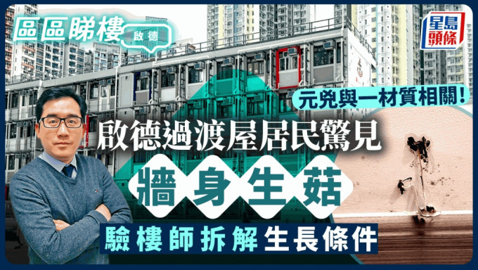 启德过渡屋 居民惊见墙身生菇  验楼师拆解生长条件 元凶与一材质相关｜区区睇楼