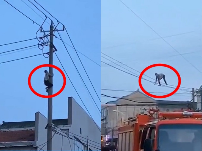 江蘇一名男子爬上高壓電線欲輕生。 網圖