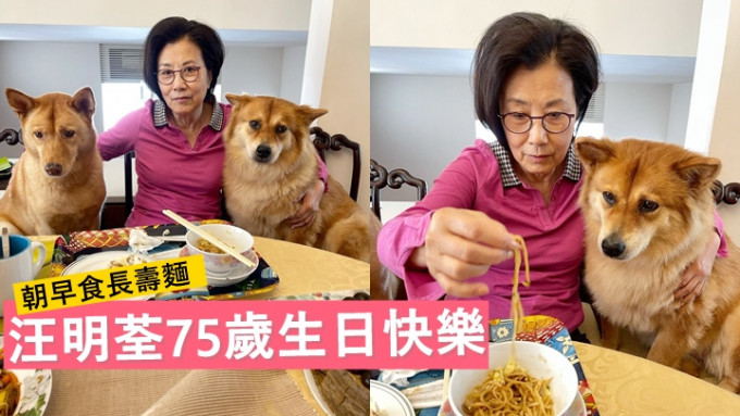 汪明荃75岁生日朝早食长寿面，两爱犬见阿姐兴奋狂舔又摇尾。
