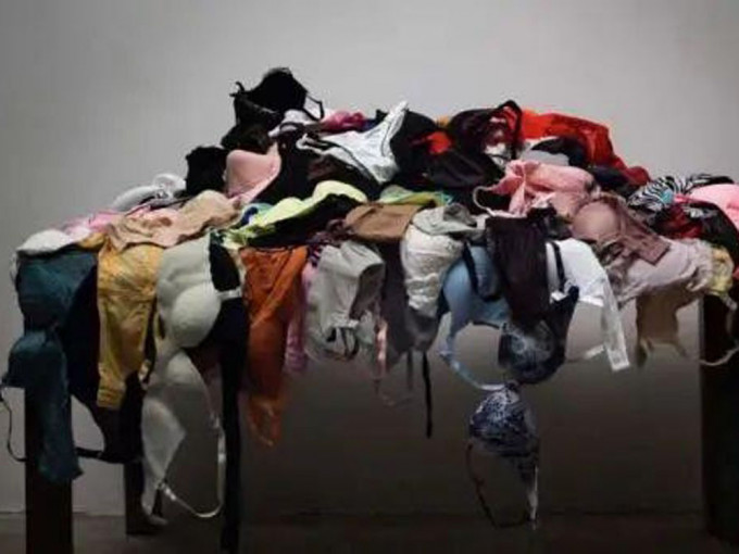 藝術家因謊稱「非正常方式」獲取女性內衣褲為作品素材，惹上官非。