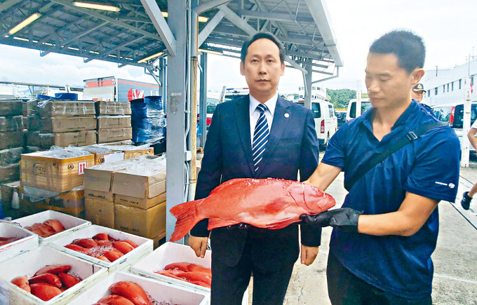 海關展示檢獲的冰鮮東星斑。