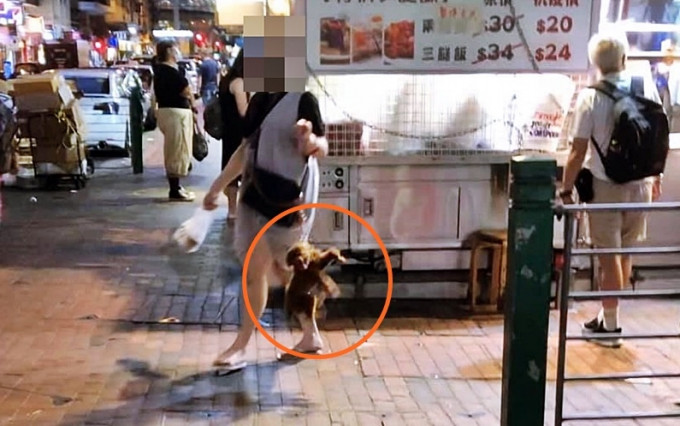 深水埗大妈疑似虐待动物，网民称狗绳吊起小狗逾20秒。网图