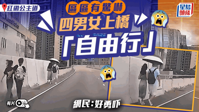 有片│车路当行人路 红磡四男女公主道行上桥 网民：好勇吓