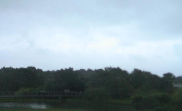 在湿地公园自动气象站望向东北面拍摄的照片。天文台图片