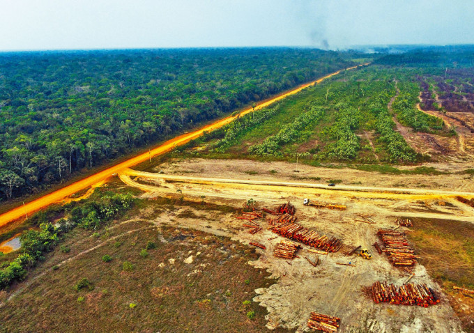 巴西亞馬遜州的一個伐木區。　