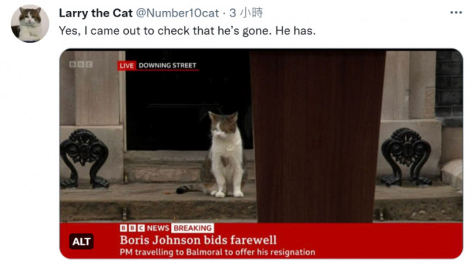 拉里猫在约翰逊演说后出现在首相府外。Twitter