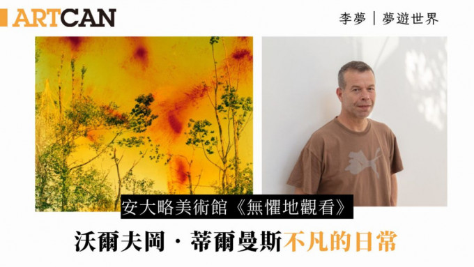 Wolfgang Tillmans及其攝影作品《Icestorm》，意在模糊攝影與繪畫的邊界。