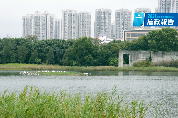 环保团体呼吁政府扩大保育湿地。资料图片