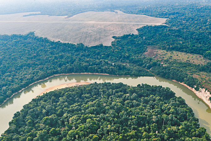 巴西亞馬遜森林被砍伐的土地。