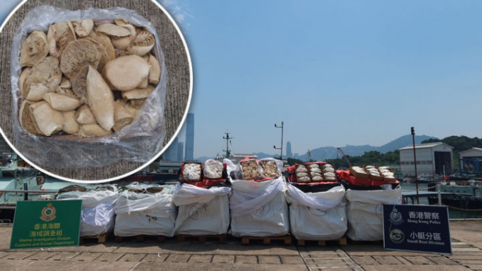 人員在貨船上檢獲約67噸懷疑走私急凍牛內臟，總市值約710萬元。