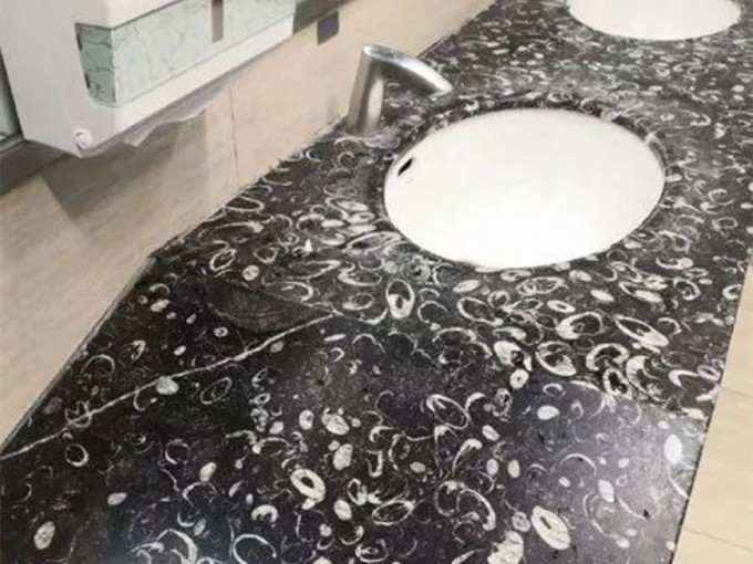 貴陽機場的廁所洗手池布滿腕足類化石殘骸。網圖