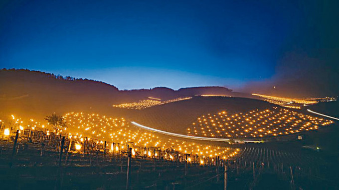 ■馬克龍在社交平台上載一幅燭光照亮葡萄園的照片。