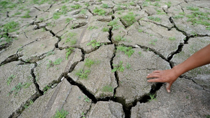 歐洲近年出現乾旱。新華社圖片