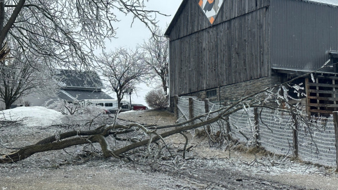 冰风暴肆虐，多处有塌树。 路透