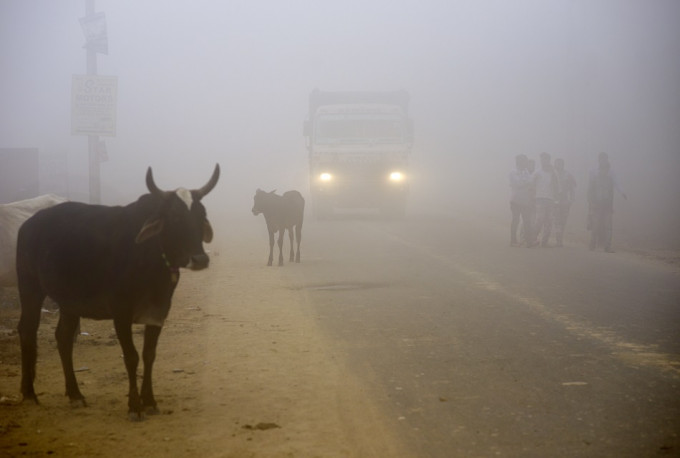 印度PM2.5濃度爆表。AP圖片