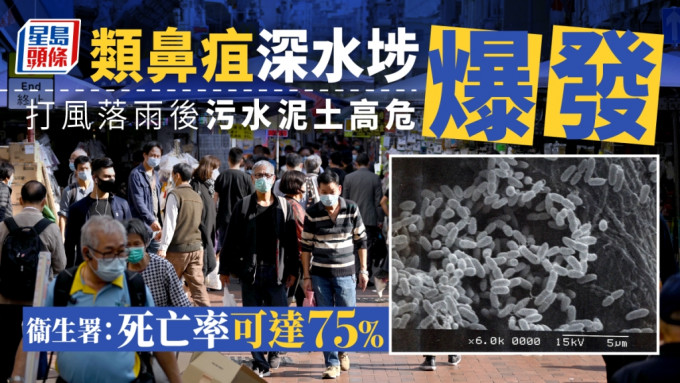 中心今年至今共录得29宗人类感染类鼻疽个案，当中20宗居于深水埗区。资料图片