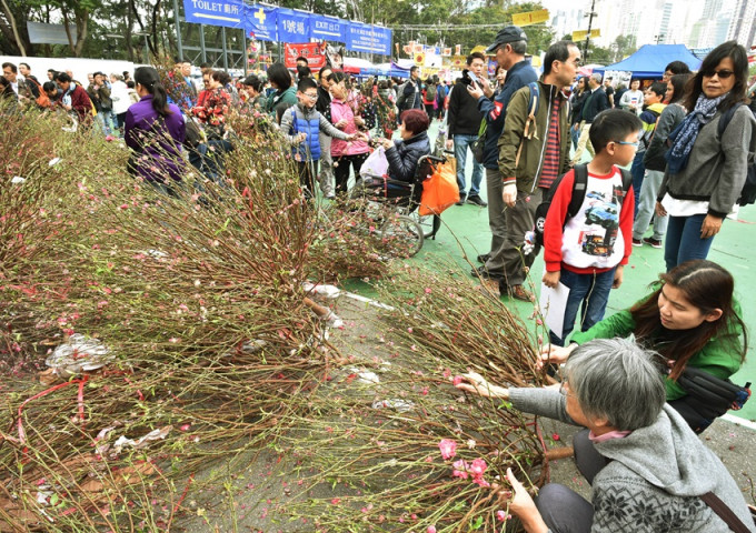 環保署今年將開放52個回收點，收集市民過節後棄置的桃花。資料圖片