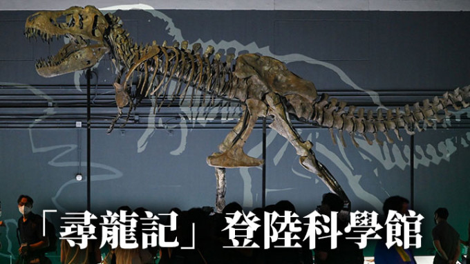 有高達6米骨架化石展出，需動用更高的展廳。