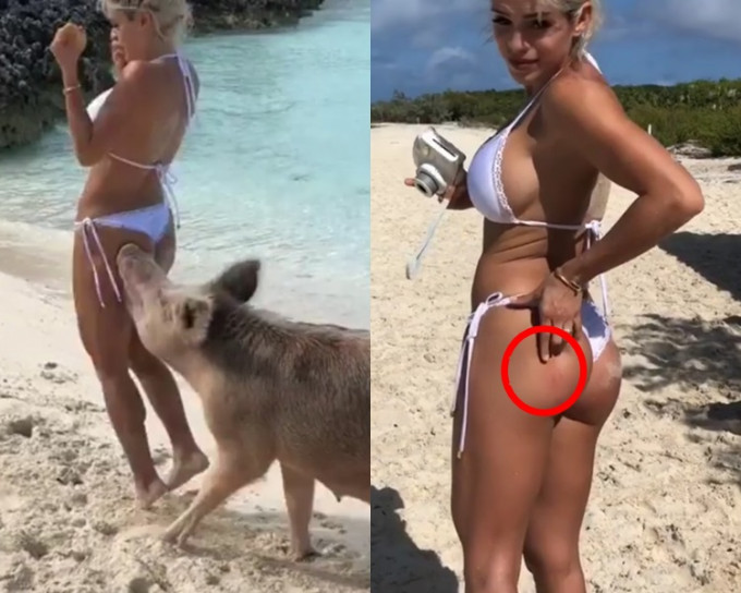 健身模特儿身穿比坚尼于沙滩度假，突然被野猪突袭咬伤左臀。Michelle Lewin影片截图